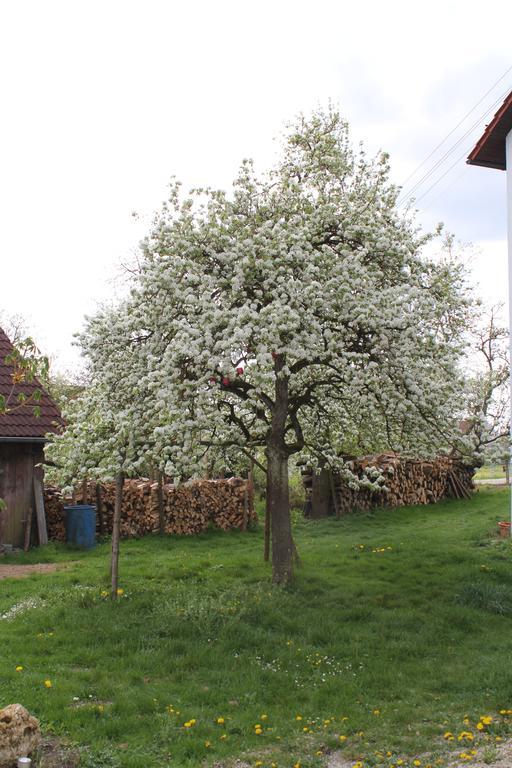 Landgasthof Weberhans Harburg  Exterior photo